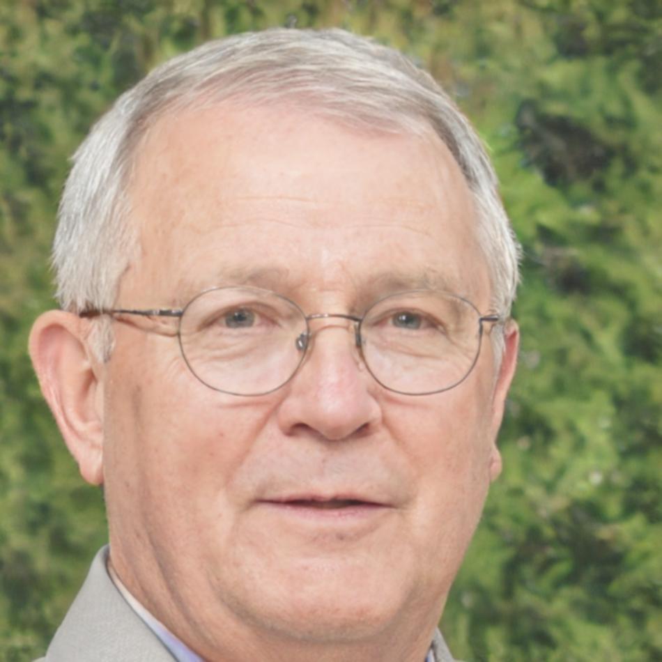 Georgi Nikolov, Financial Consultant